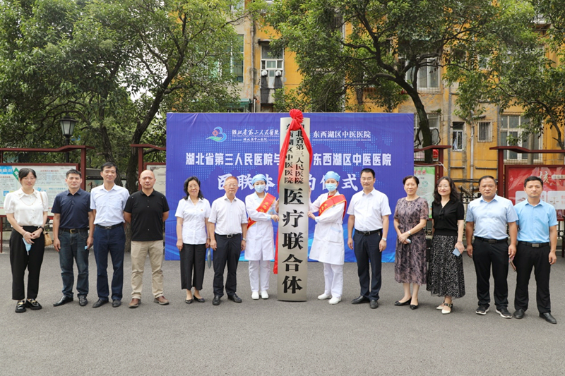 家门口看中医大咖——湖北省第三人民医院与东西湖区中医医院结成医疗联合体